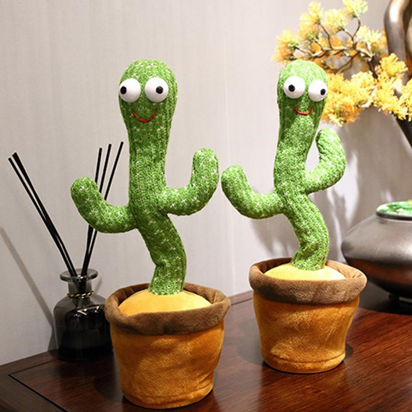 Cactus dansant QuebecFinds™
