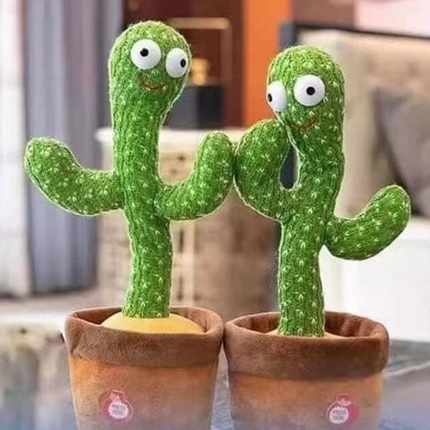 Cactus dansant QuebecFinds™