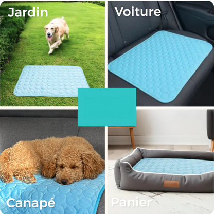 Tapis Rafraîchissant pour Animaux