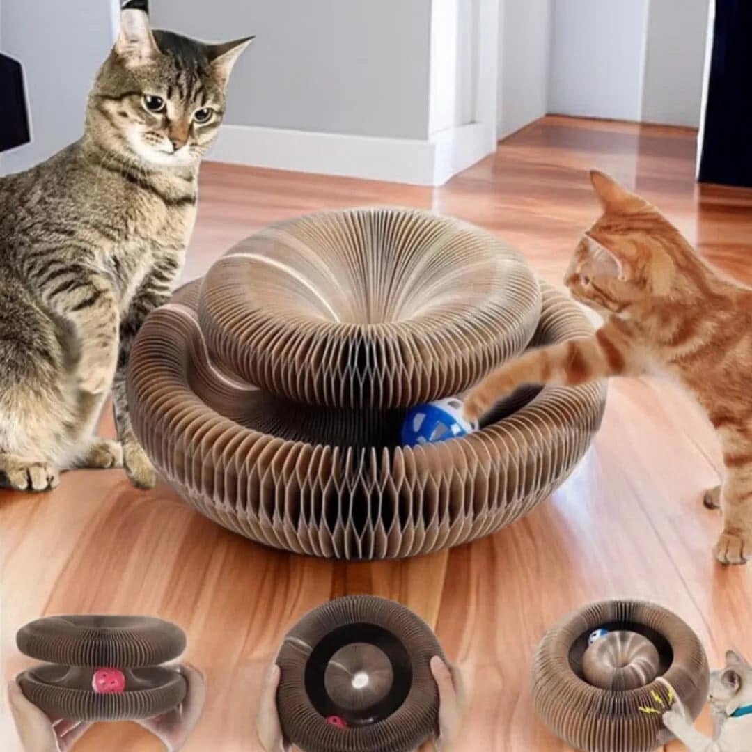 Twistou™- Jouet Ludique et Relaxant pour Chats