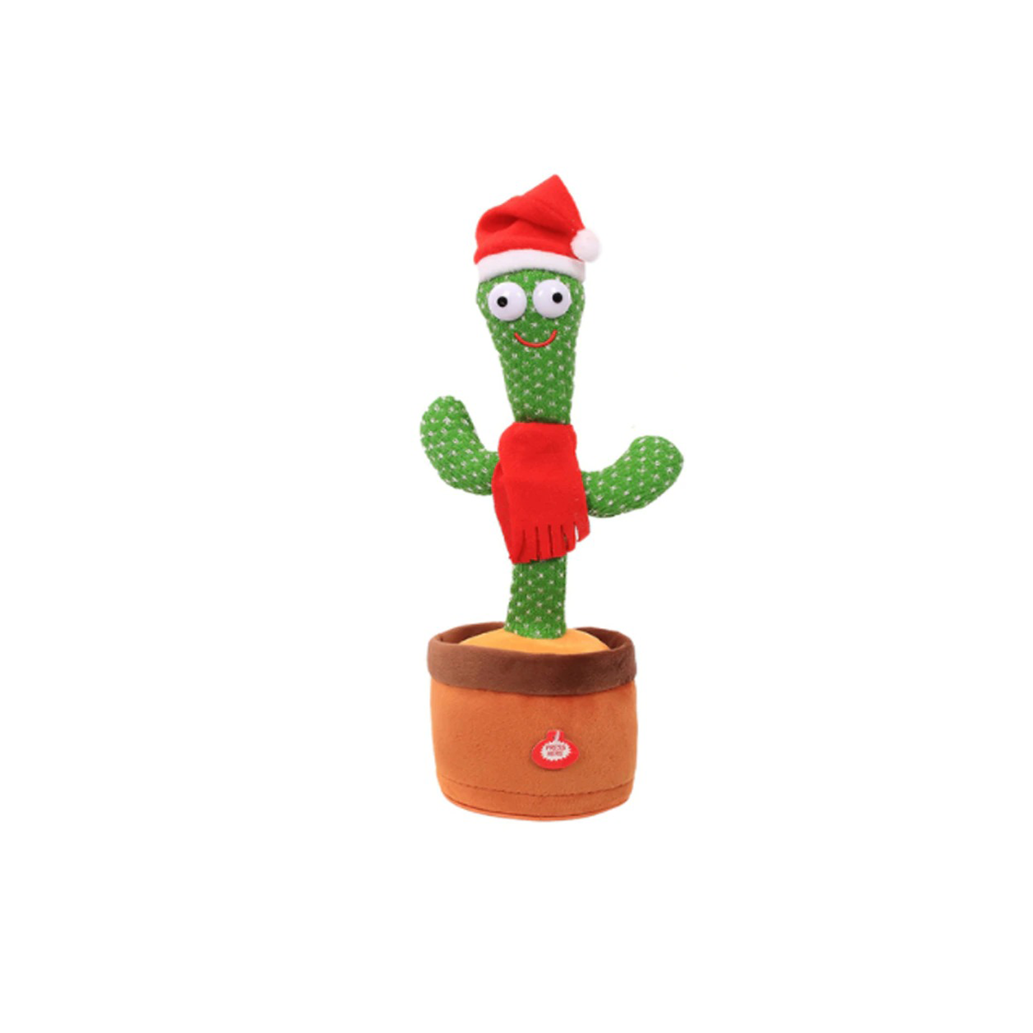 Cactus dansant BERDA™