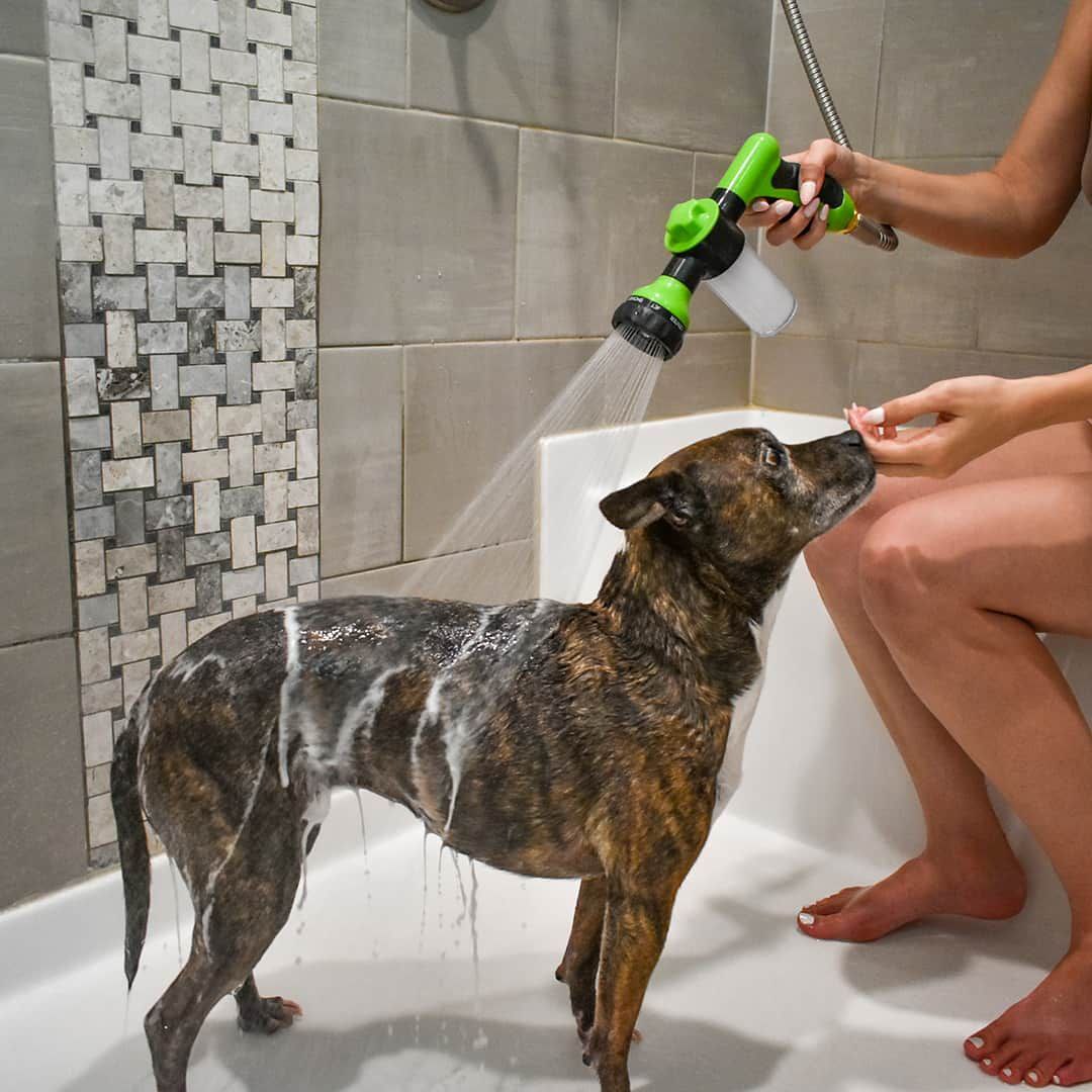 Nettoyeur Express pour Chien – Accessoire de Bain Pratique