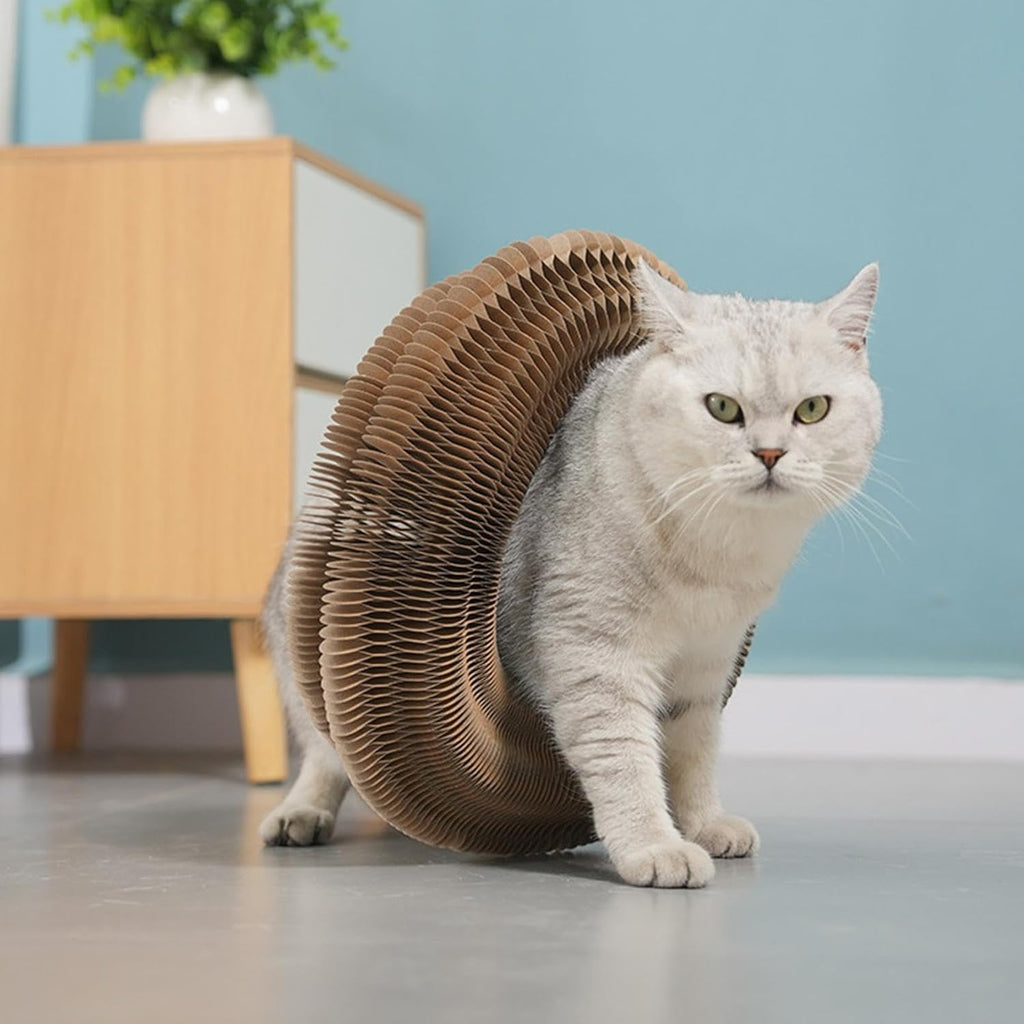 Twistou™- Jouet Ludique et Relaxant pour Chats