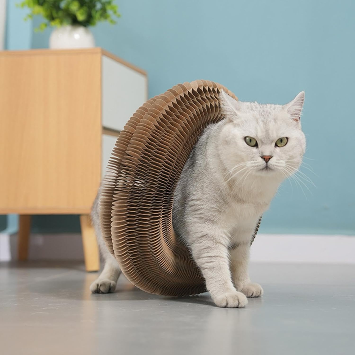 Twistou™- Jouet Ludique et Relaxant pour Chats