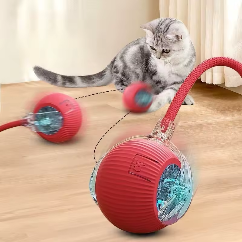 PawQuest –Jouet Interactif pour Chats