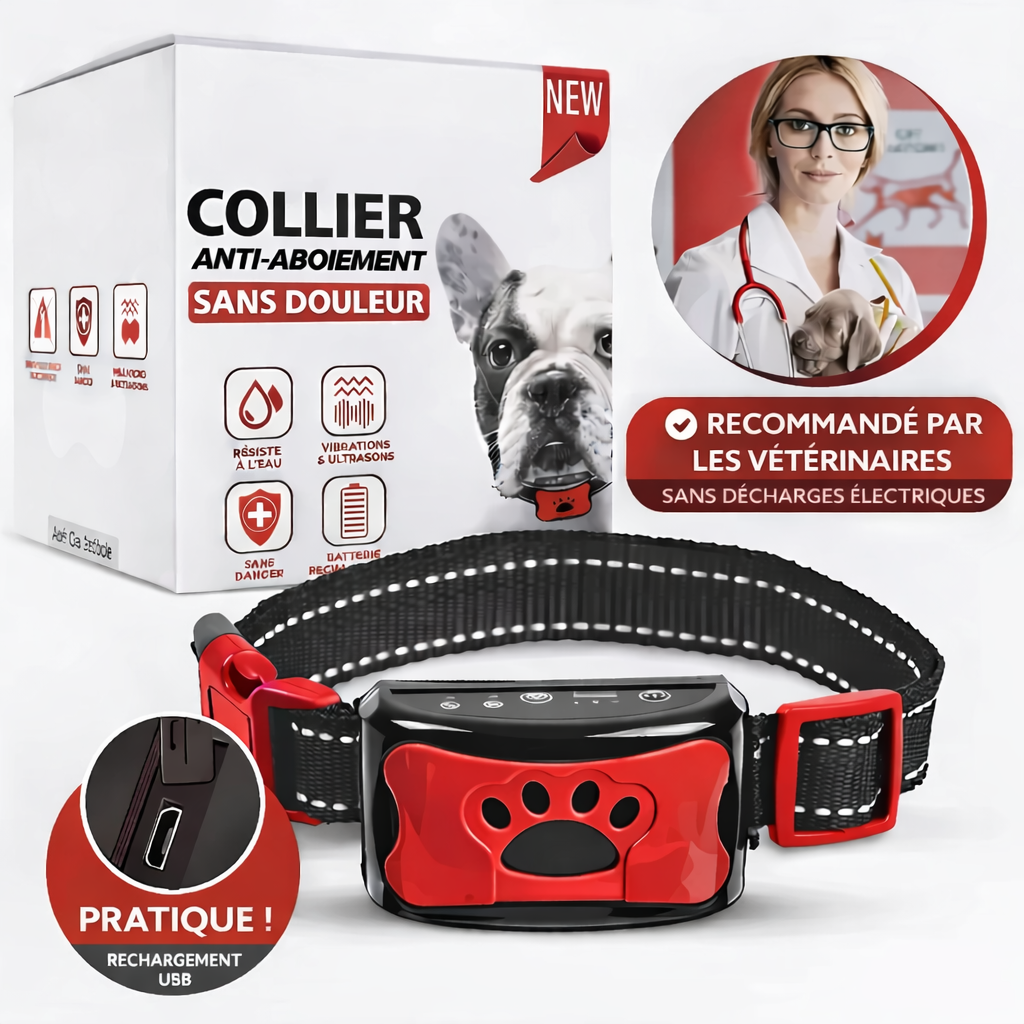 Collier Anti-Aboiement Intelligent