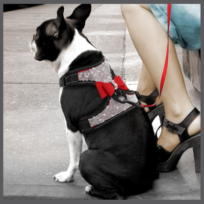 Harnais Bling pour Chien avec Nœud