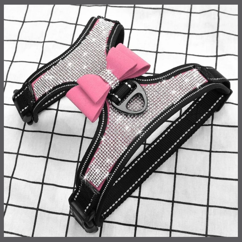 Harnais Bling pour Chien avec Nœud