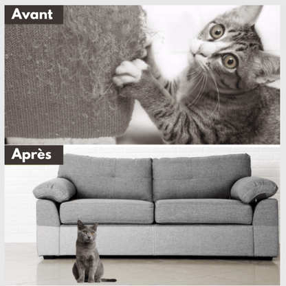Tapis Adhésif Protecteur pour Griffes de Chat