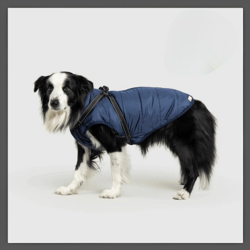 PawProtec™ - Manteau imperméable pour chien