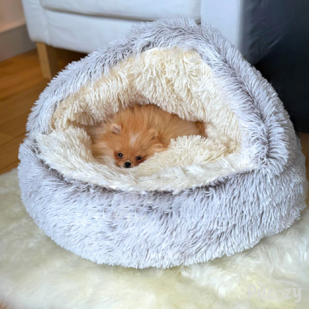 Le Cocon Apaisant : Le Coussin Parfait pour Soulager le Stress de Votre Animal