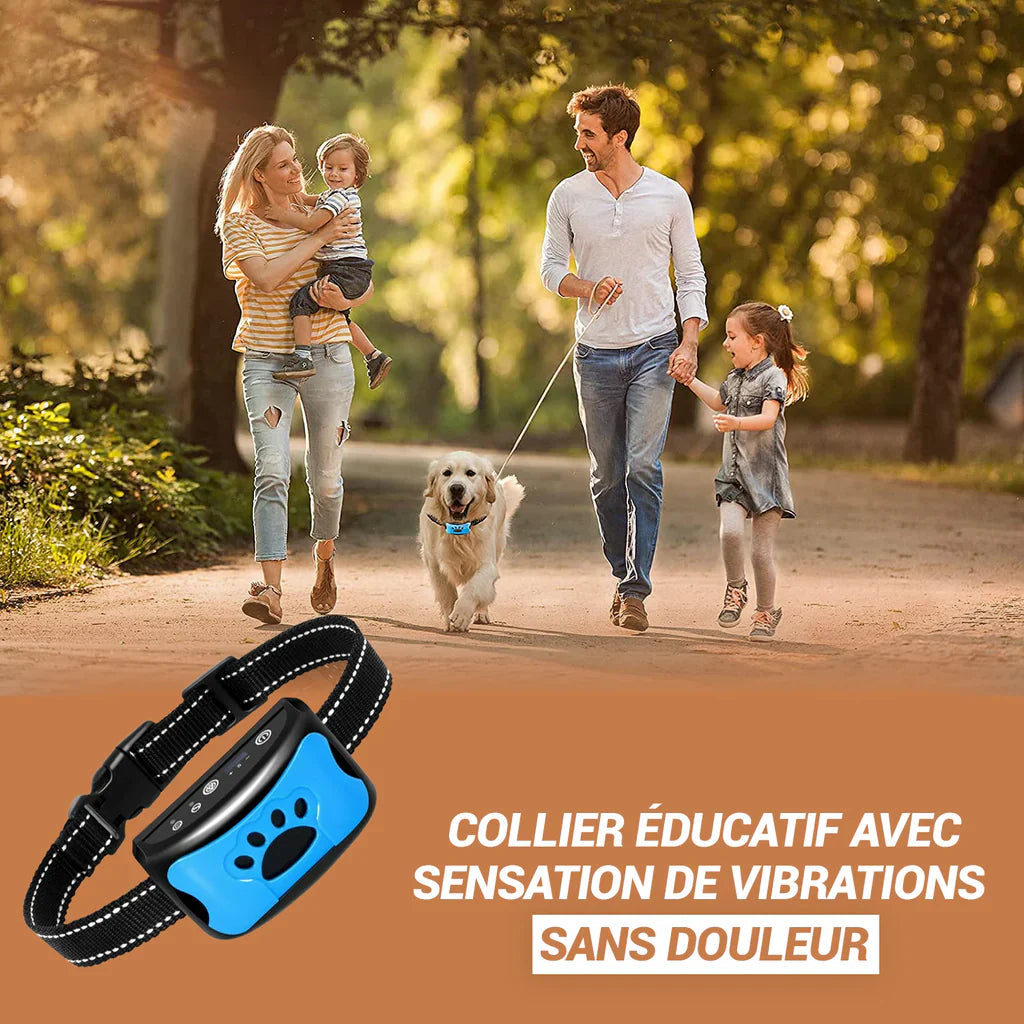 Collier Anti-Aboiement Intelligent