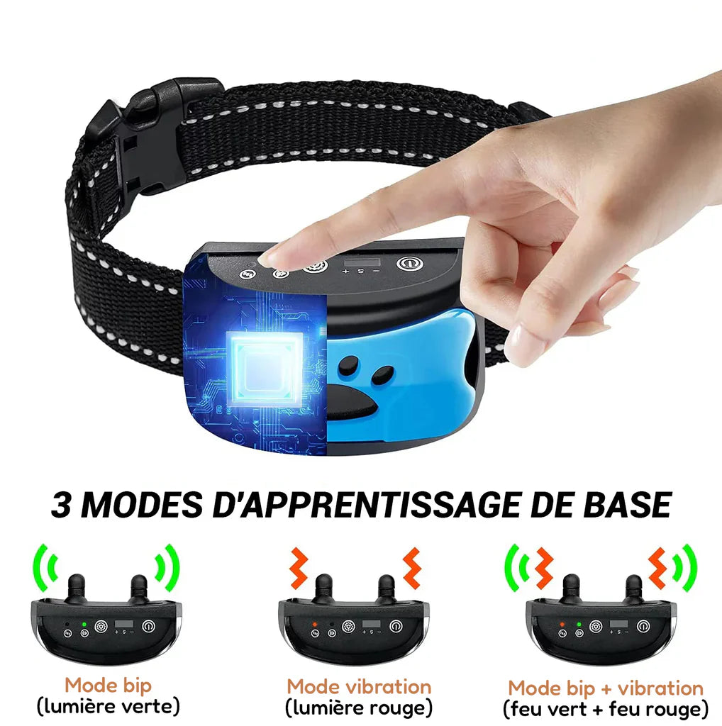 Collier Anti-Aboiement Intelligent