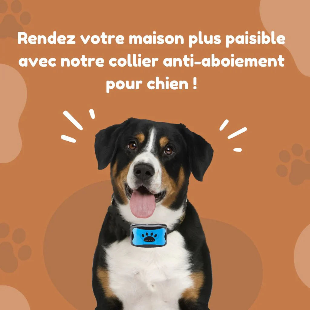 Collier Anti-Aboiement Intelligent