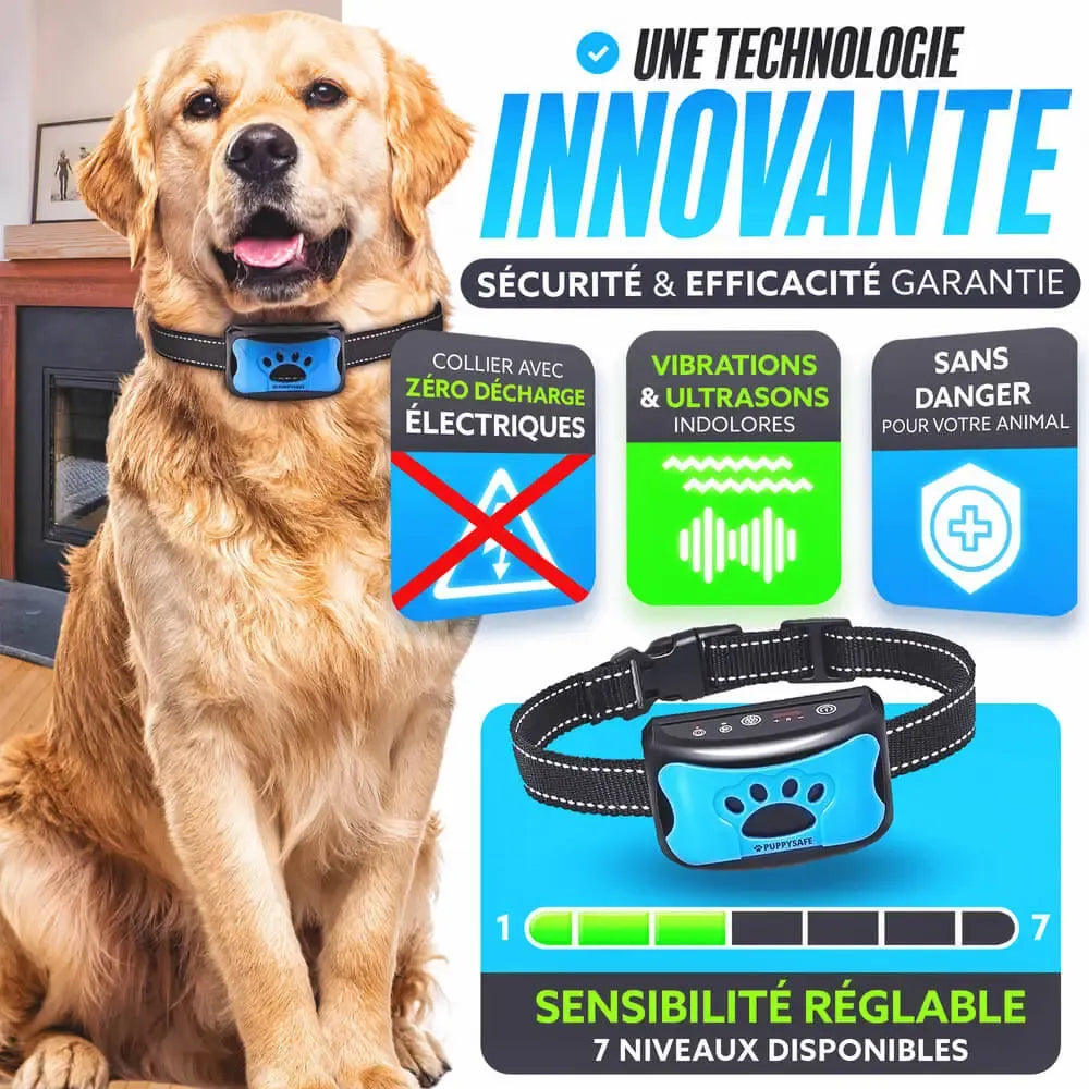 Collier Anti-Aboiement Intelligent