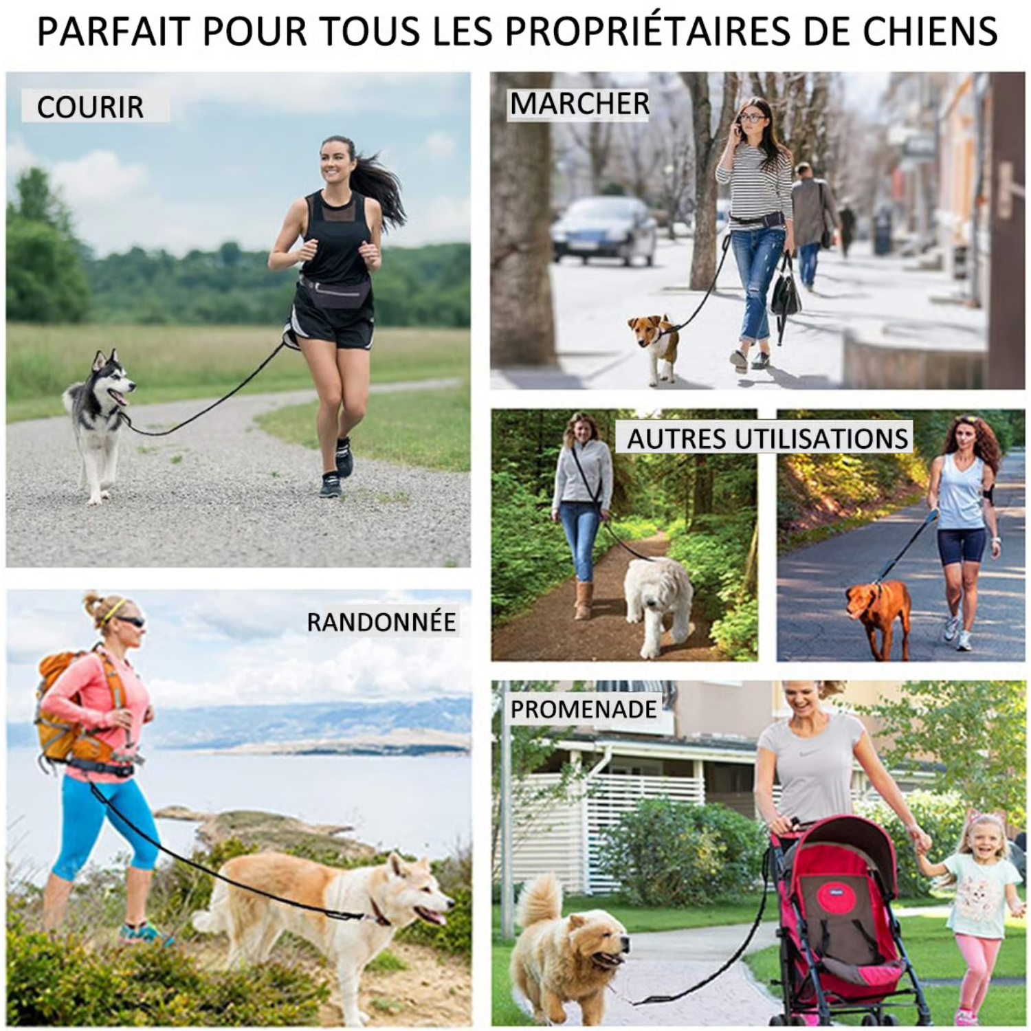 laisse mains libres pour chien avec poche zippée